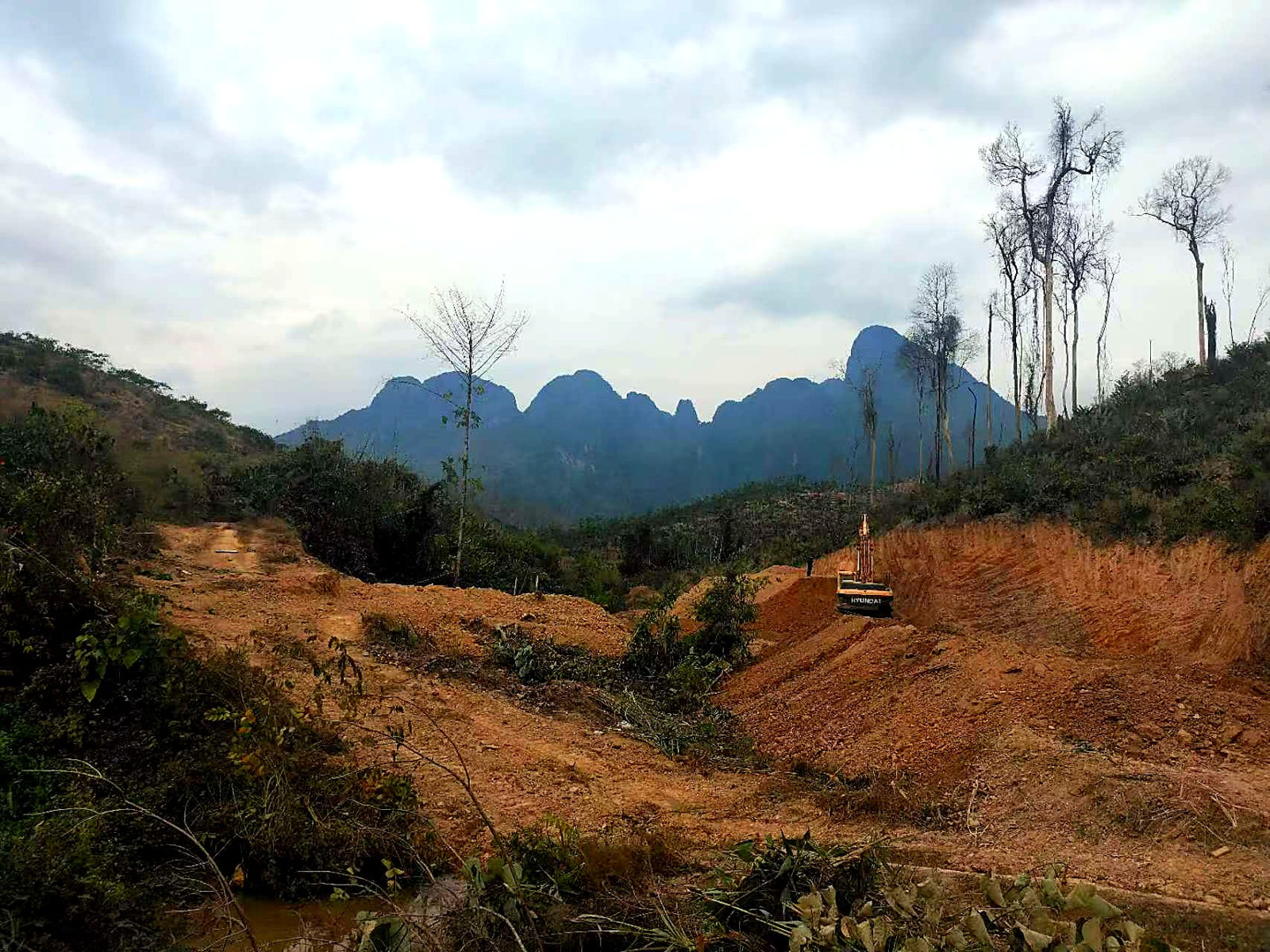 Project area, general view